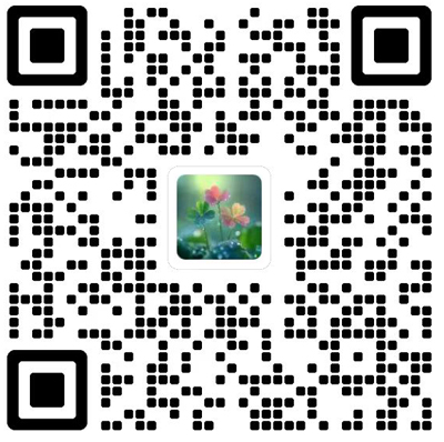 纯粹数学与应用数学杂志模板